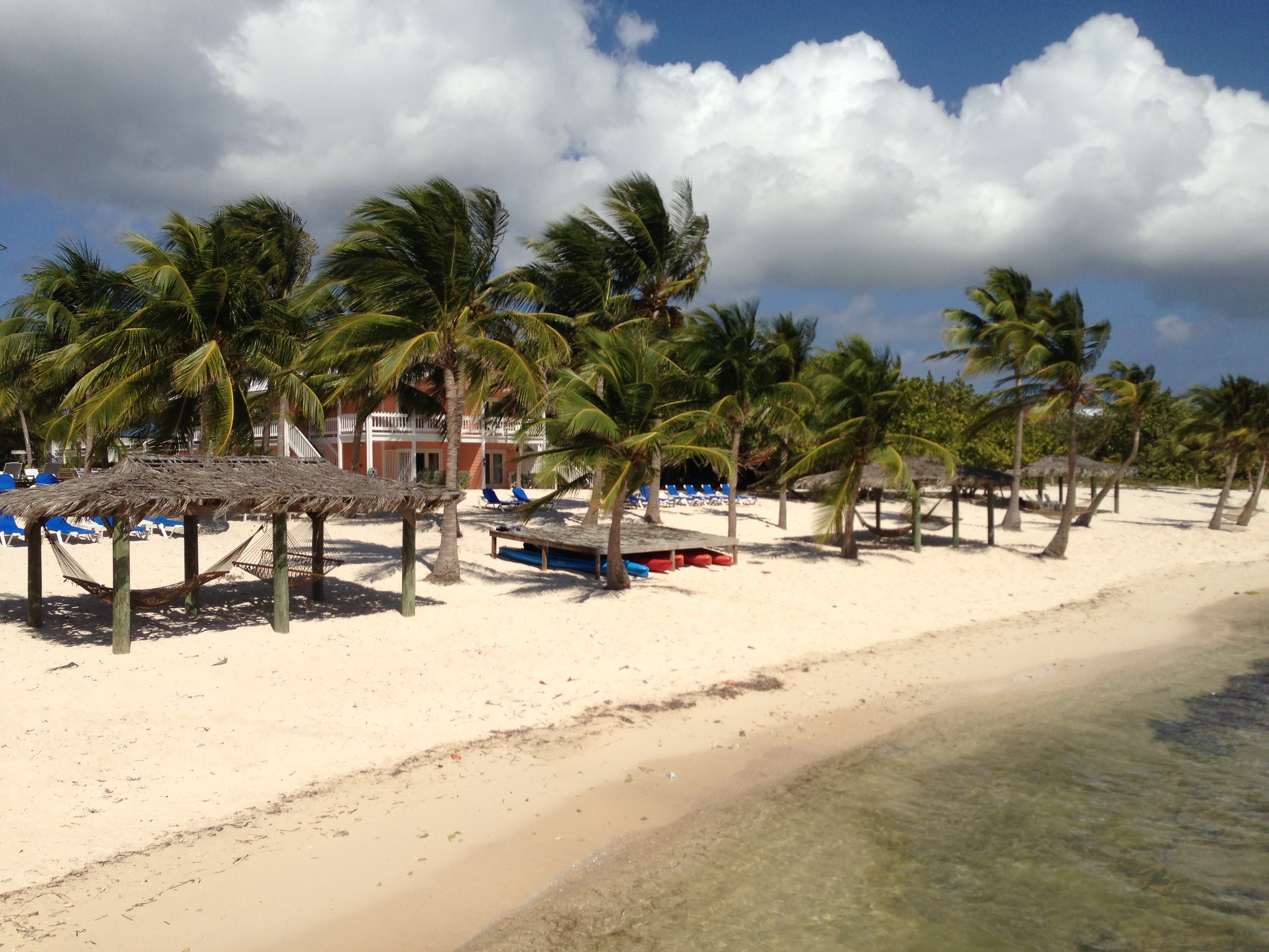 Tropical beach with palm trees and loungers